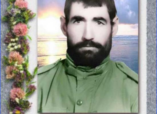 علیجان غریبی