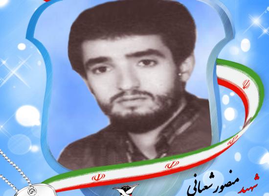 منصور شعبانی