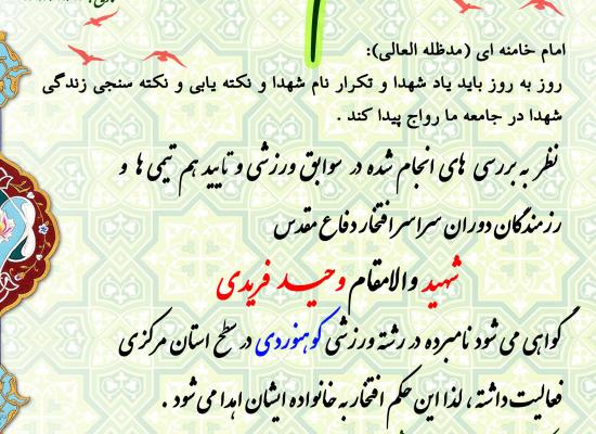 وحید فریدی