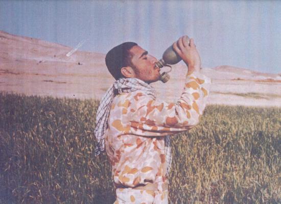 علی موقر