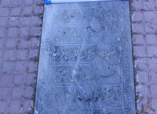 مژگان فلاح عراقی