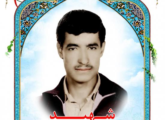 ابوالفضل حسنی