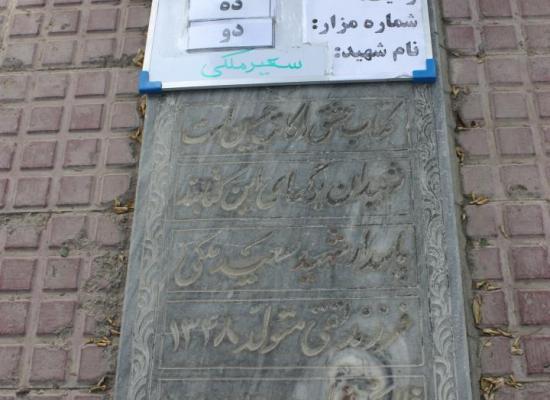 سعید ملکی