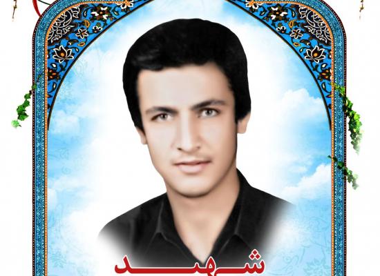 سید عباس سیدمیرزا