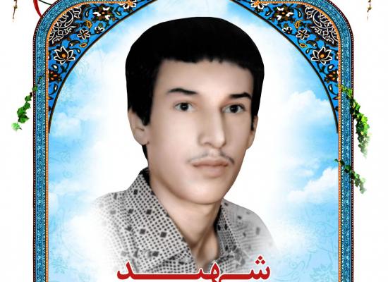 سید مجتبی سلامتی شاهمرادی