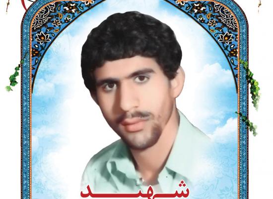 نادر نظمی پویا
