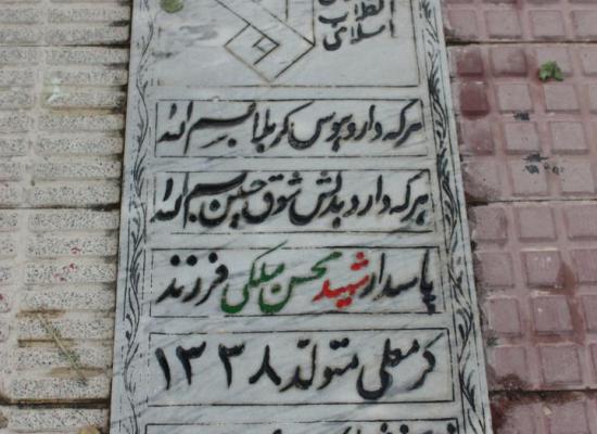 محسن ملکی ضامنجانی