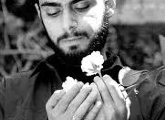 حمیدرضا نظام