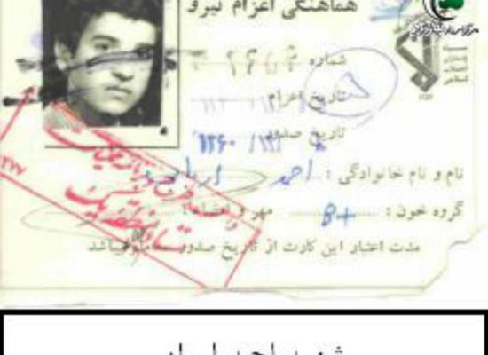احمد اربابی