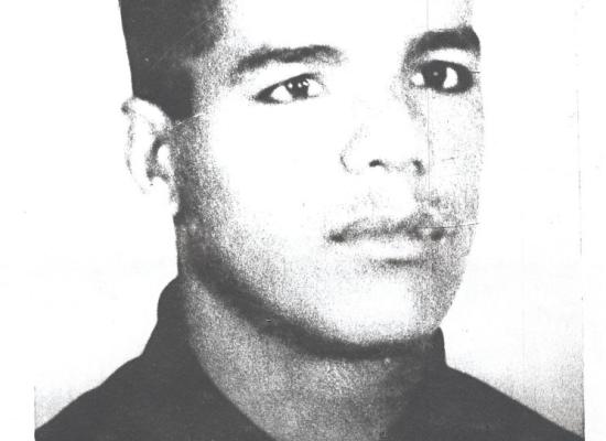 محمود حسنی