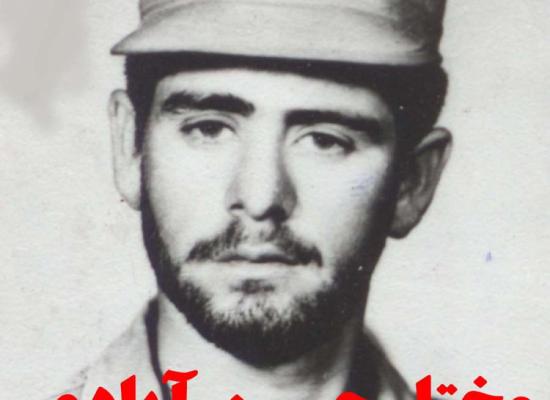 مختار حسین آبادی