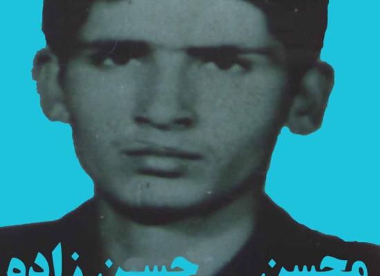 محسن حسن زاده